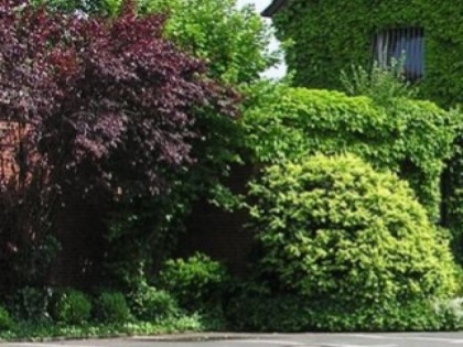 Foto: Haus Strater
